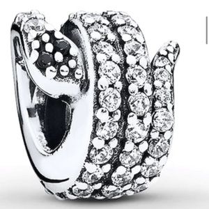 Snake Pandora Charm